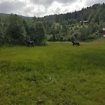 Feriehus River Run Ranch - Telemark Drangedal