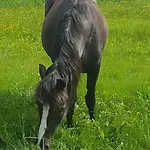River Run Ranch - Telemark Casa vacanze