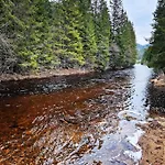River Run Ranch - Telemark * Drangedal