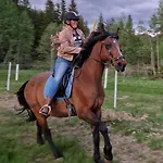 River Run Ranch - Telemark 度假居 *