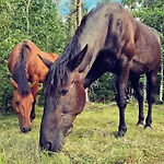 River Run Ranch - Telemark