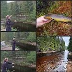 Feriehus River Run Ranch - Telemark