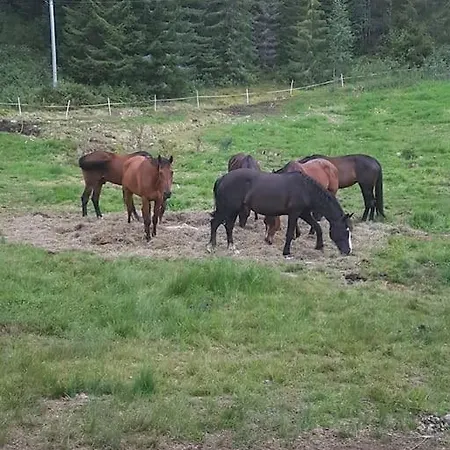 Holiday home River Run Ranch - Telemark *