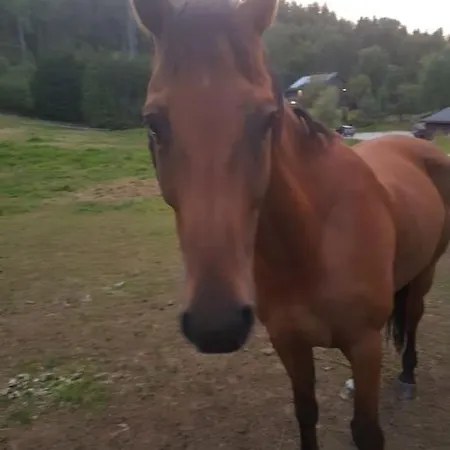 River Run Ranch - Telemark *