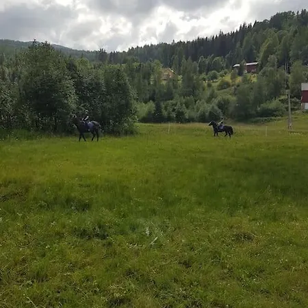 Σπίτι διακοπών River Run Ranch - Telemark Drangedal