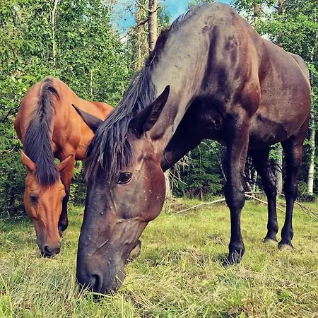 River Run Ranch - Telemark