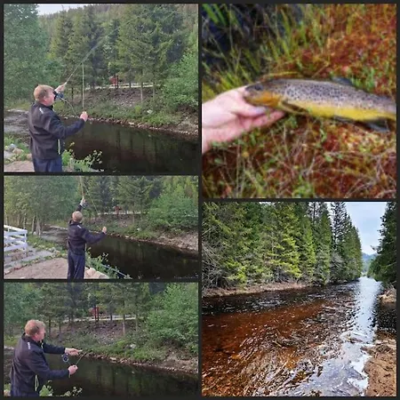 Σπίτι διακοπών River Run Ranch - Telemark