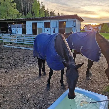 River Run Ranch - Telemark Σπίτι διακοπών *