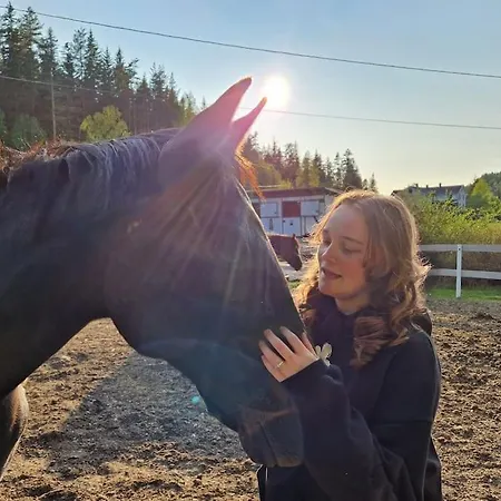 Feriehus River Run Ranch - Telemark