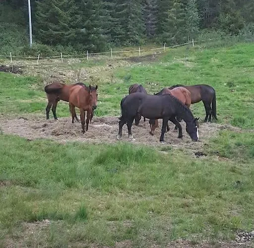 펜션 River Run Ranch - Telemark *