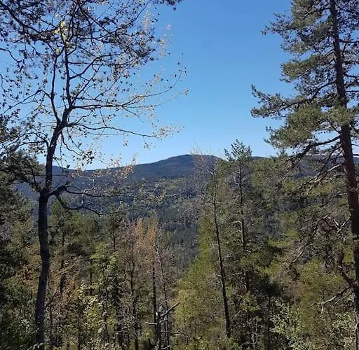 펜션 River Run Ranch - Telemark