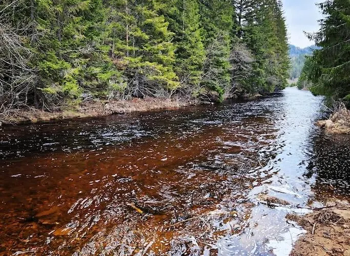 River Run Ranch - Telemark * Drangedal
