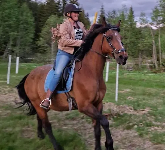 River Run Ranch - Telemark 펜션 *