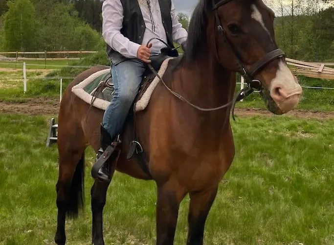 펜션 River Run Ranch - Telemark Drangedal
