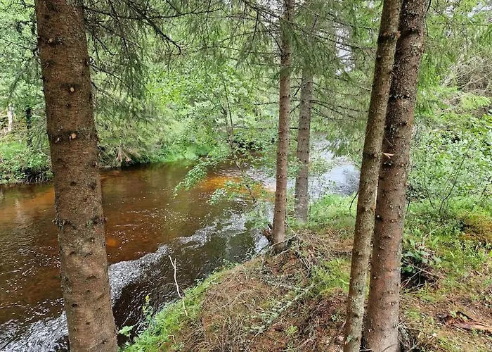 River Run Ranch - Telemark * Drangedal