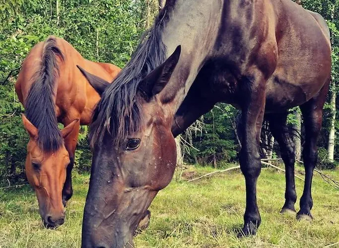 River Run Ranch - Telemark