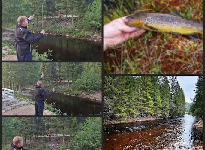 펜션 River Run Ranch - Telemark