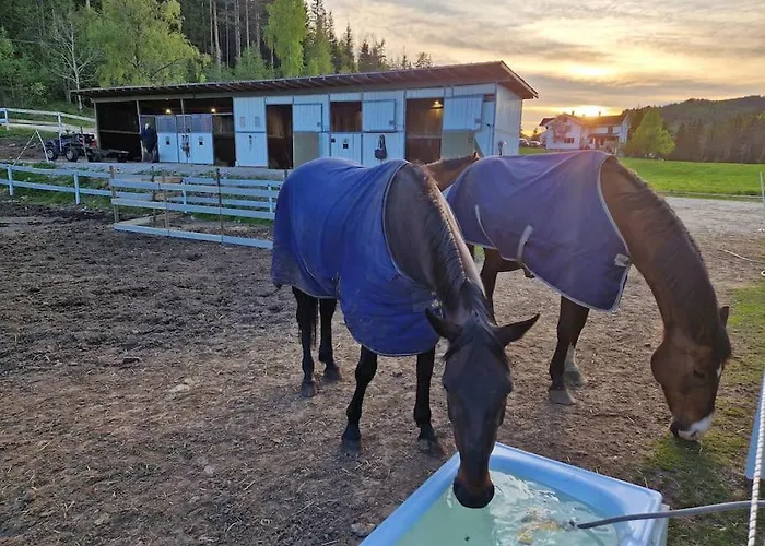 River Run Ranch - Telemark 펜션 *