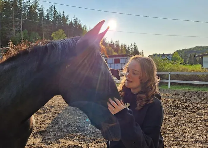 펜션 River Run Ranch - Telemark