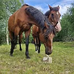 River Run Ranch - Telemark Nyaraló Drangedal