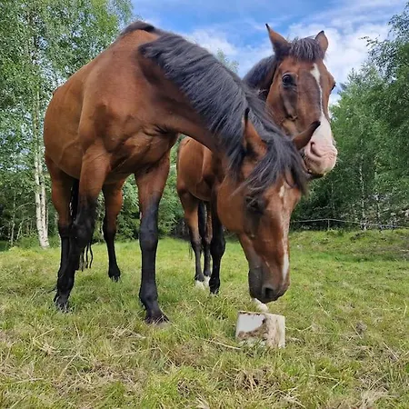 River Run Ranch - Telemark Сasa de vacaciones Drangedal