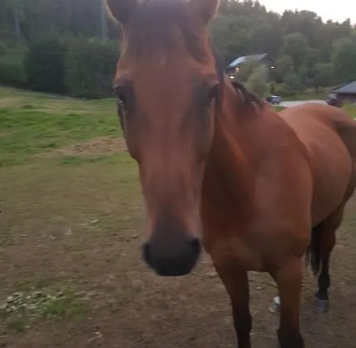 River Run Ranch - Telemark *