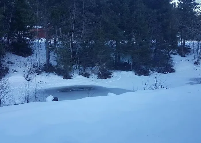 River Run Ranch - Telemark Prázdninový dům *