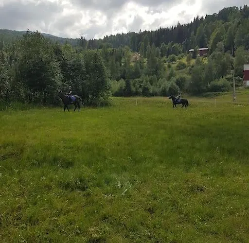 別荘 River Run Ranch - Telemark Drangedal