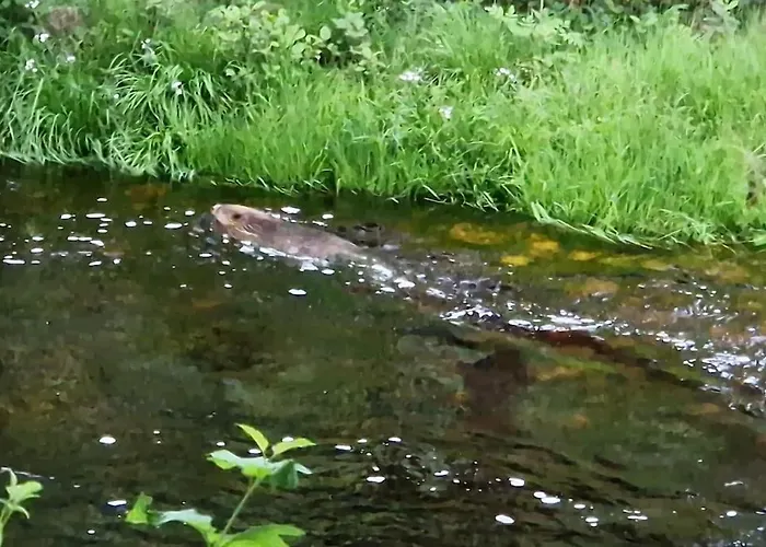 River Run Ranch - Telemark Prázdninový dům Drangedal